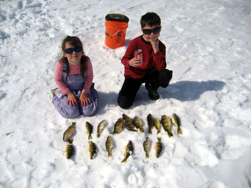 N, S & Fish 882